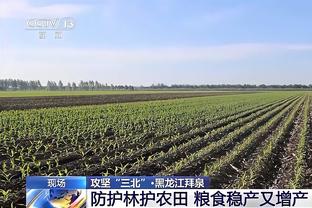 冲击力十足！凯尔登-约翰逊16中8砍下21分10篮板3助攻